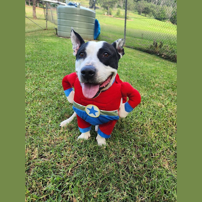 Photo of Biggie Smallz