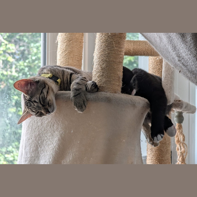 Photo of Millie & Zoe