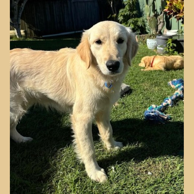 Photo of Butter