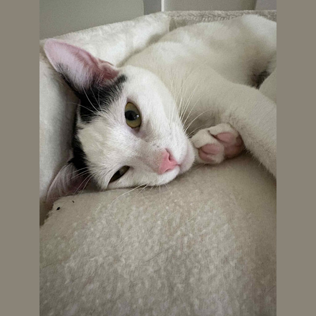 Photo of Lillie 🌷🌷🌷