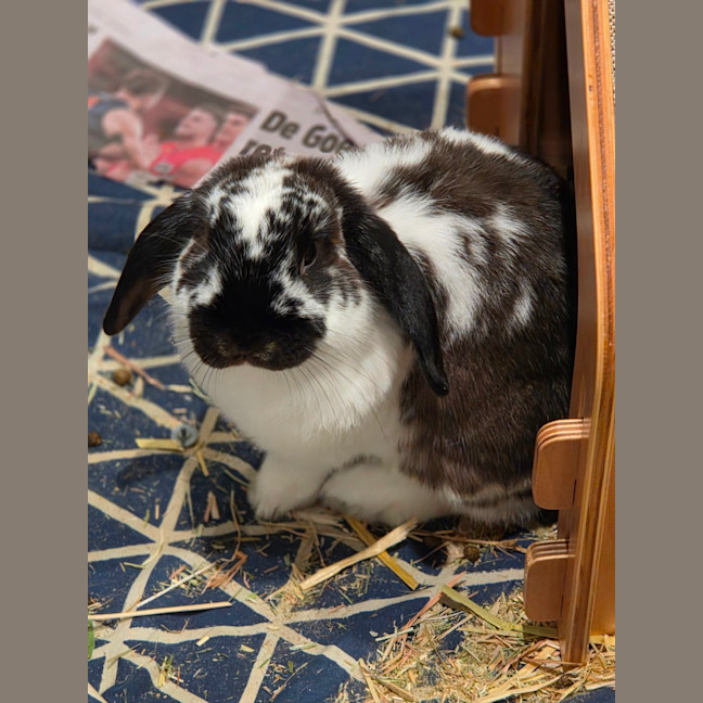 Photo of Andy & Astro