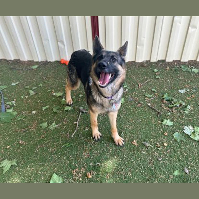 Photo of Maggie