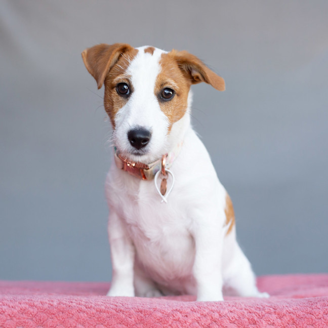 Photo of Maggie