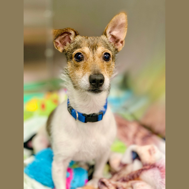 Photo of Charlie
