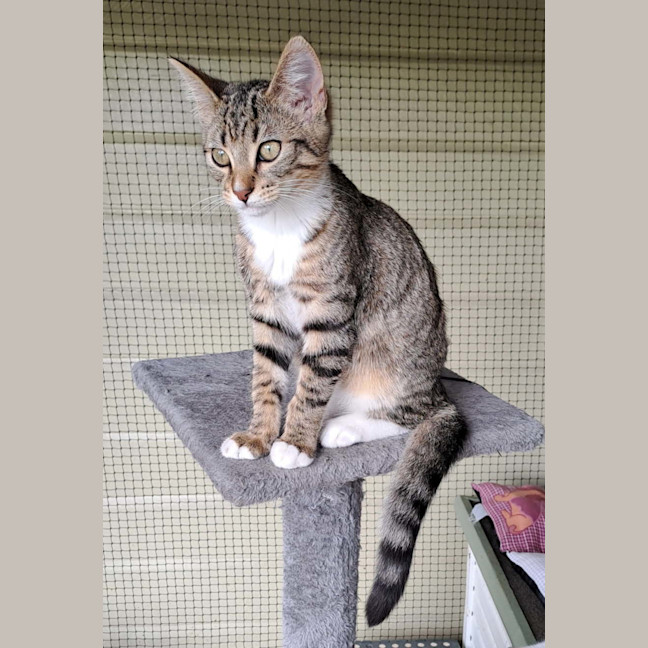 Photo of Donald And Daisy