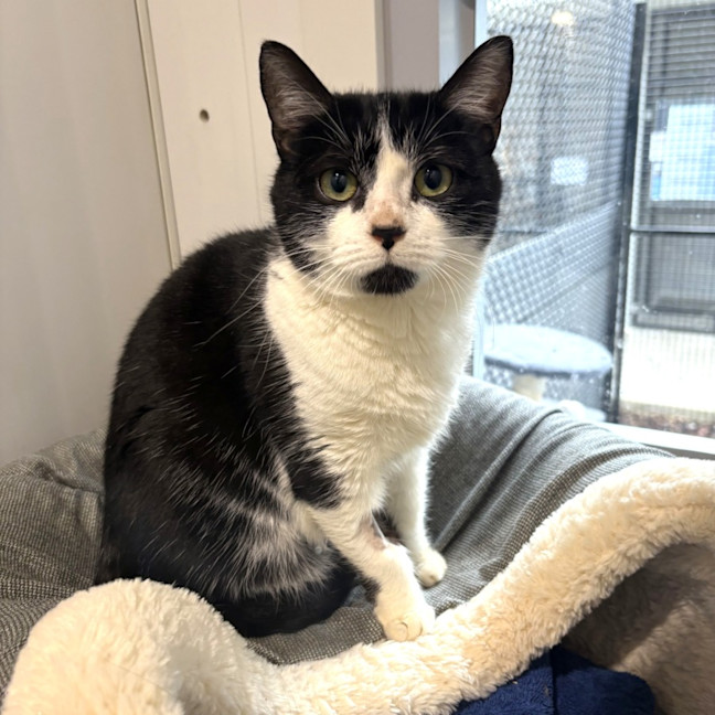 Photo of Delilah