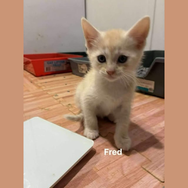 Photo of Fred