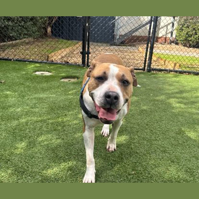 Photo of Roxy