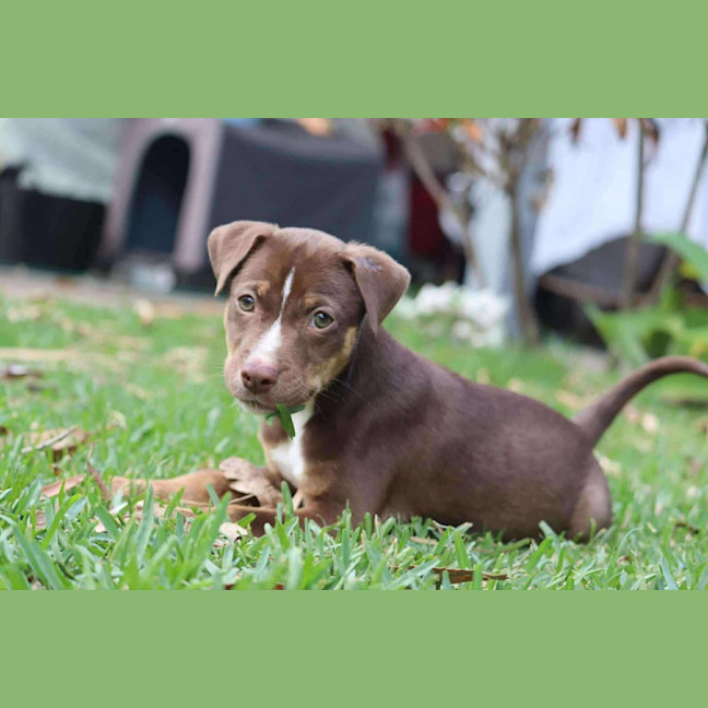 Photo of Hazel
