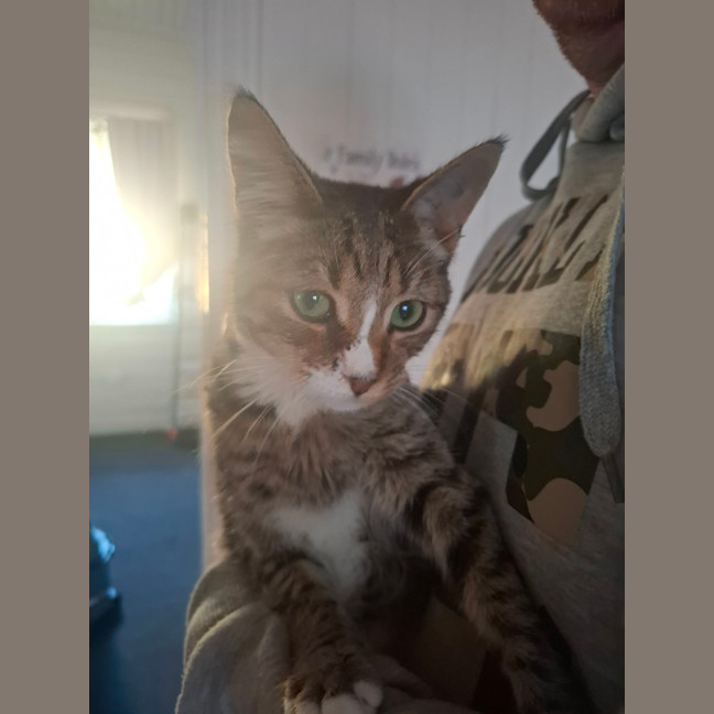 Photo of Buddy