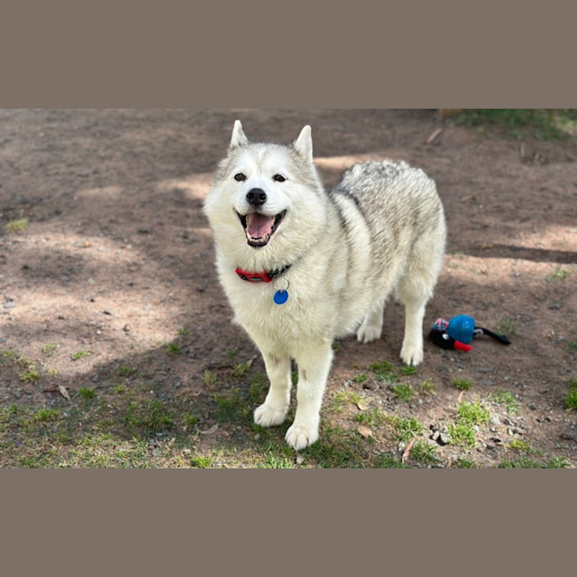 Photo of Skylar