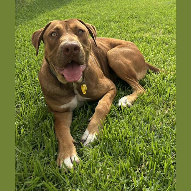 Photo of Benny