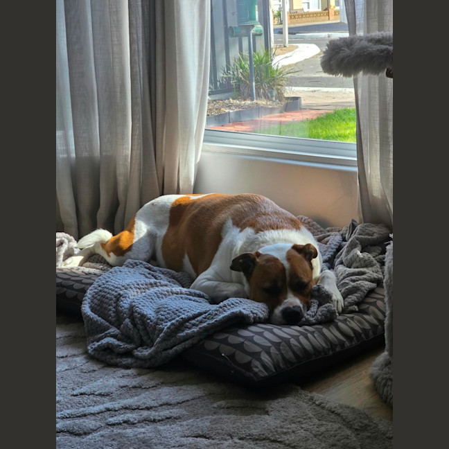 Photo of Flint