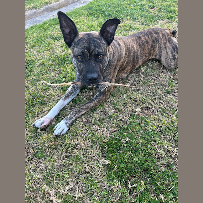 Photo of Lola