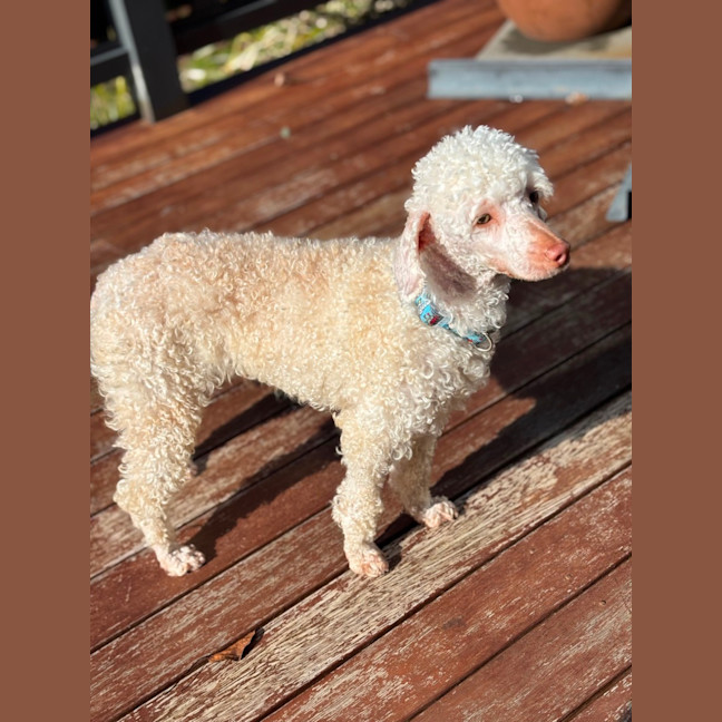 Photo of Winny