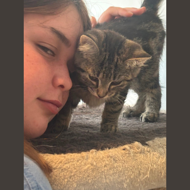 Photo of Puffin Meet Me@Petstock Mornington Nepean Hwy 