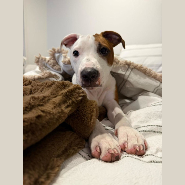 Photo of Cookie Oliver