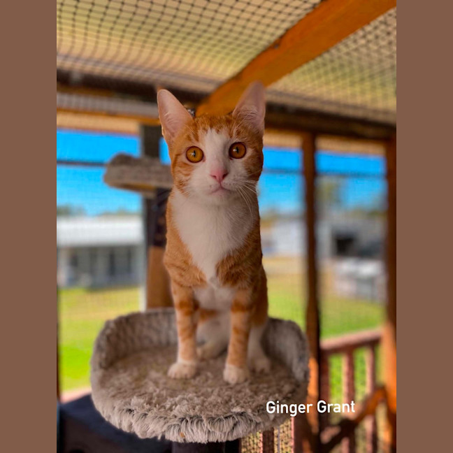Photo of Ginger Grant