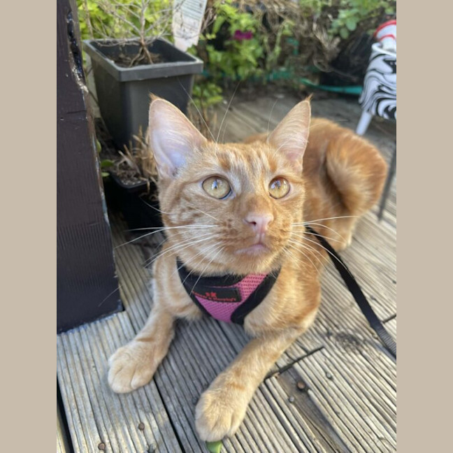Photo of Dutchess