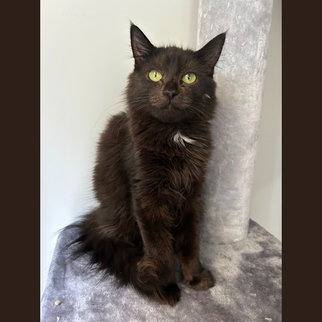 Photo of Harper 🩷 