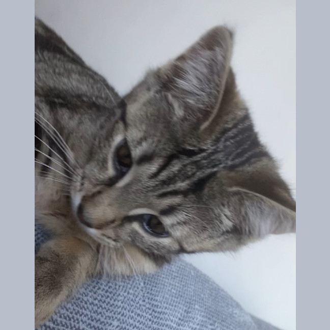 Photo of Lady Maisie