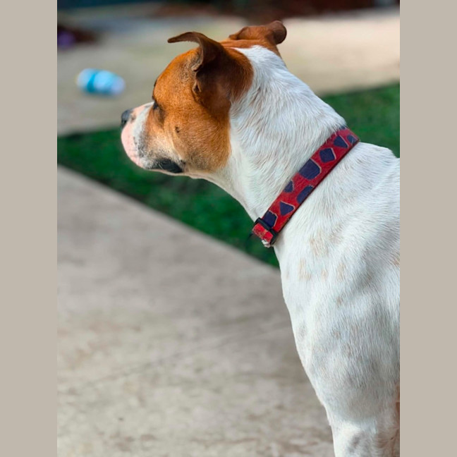 Photo of Molly