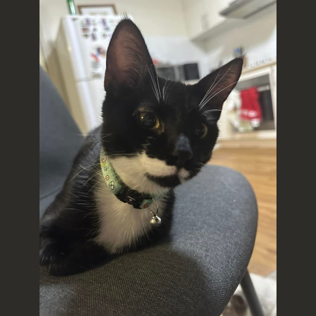 Photo of Taco