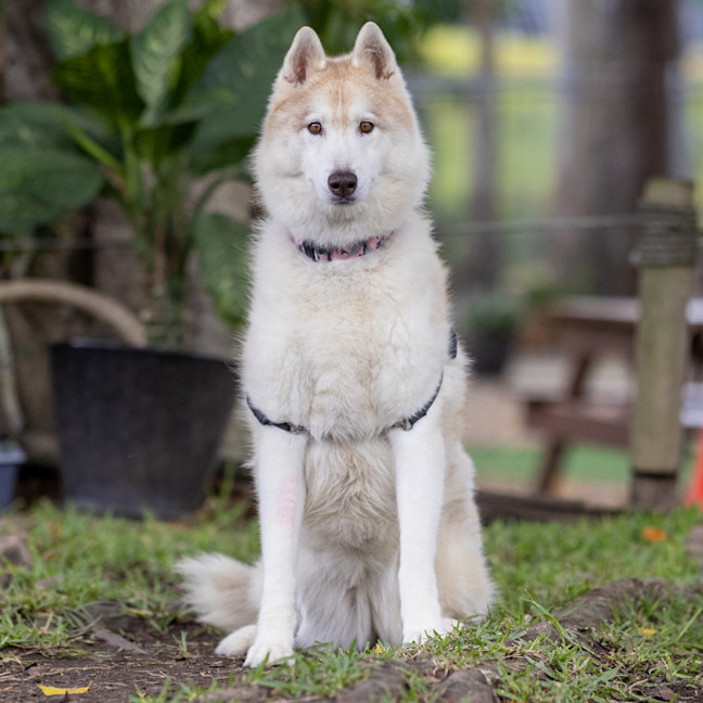 Photo of Zara