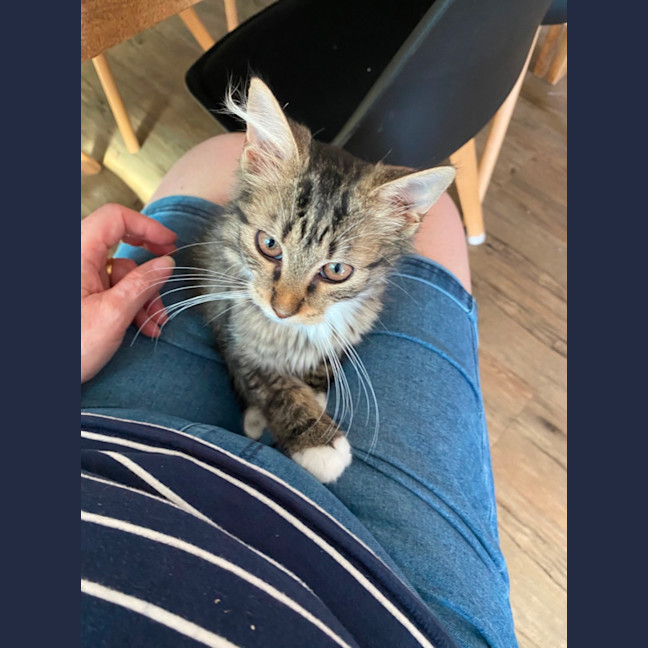 Photo of Abigail   Meet Me At Pet Stock Keysborough