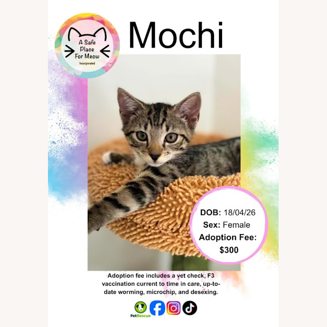 Photo of Mochi