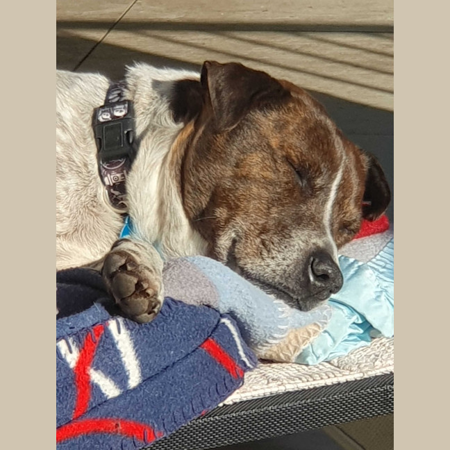 Photo of Pat In The Hat