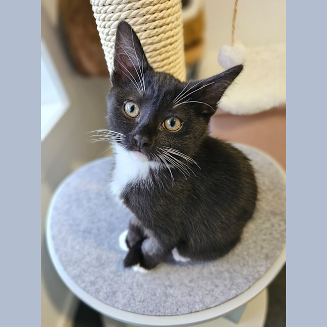 Photo of Camila & Venus