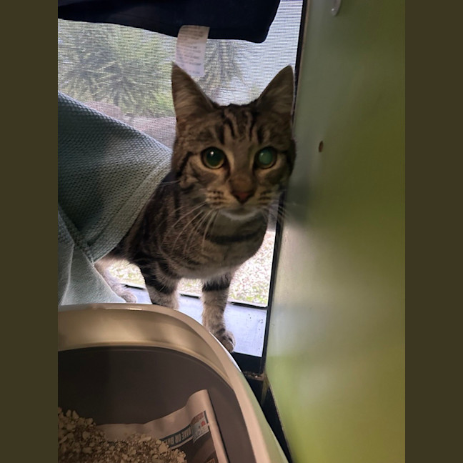 Photo of Mrs. Cunningham