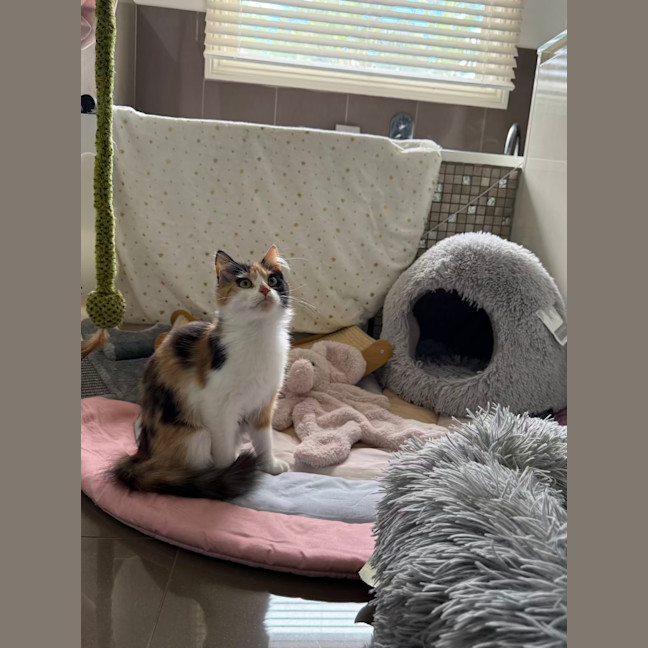 Photo of Poe
