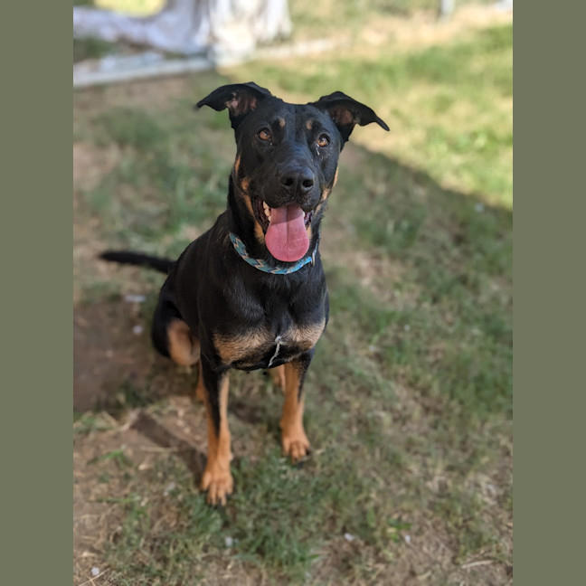 Photo of Jinx