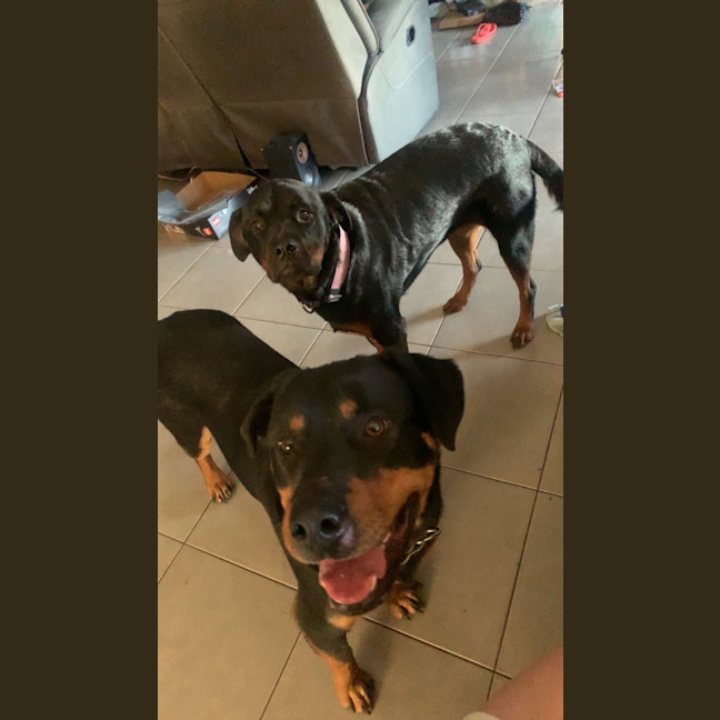 Photo of Maverick