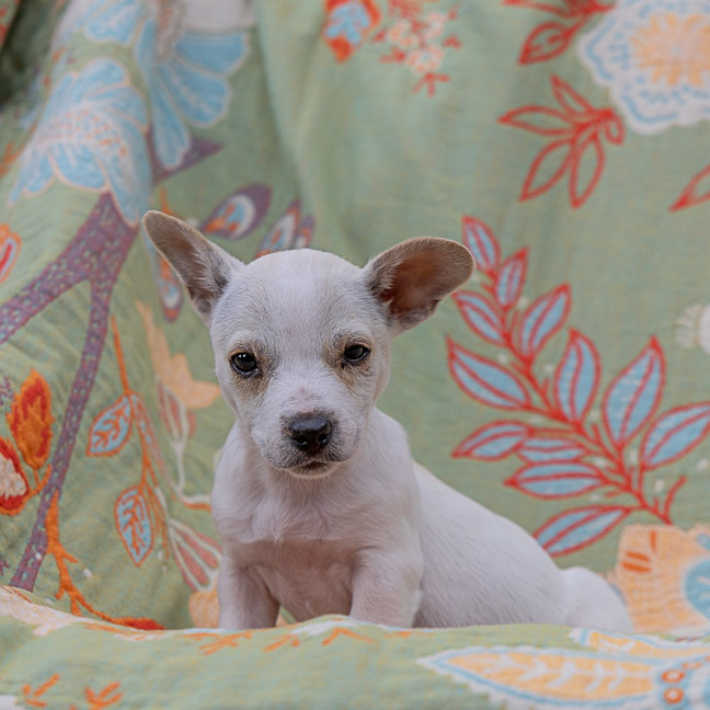 Photo of Bobby