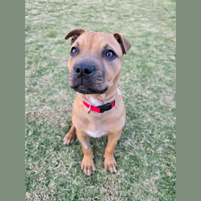Photo of Grayson
