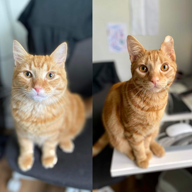 Photo of Ched & Ritz