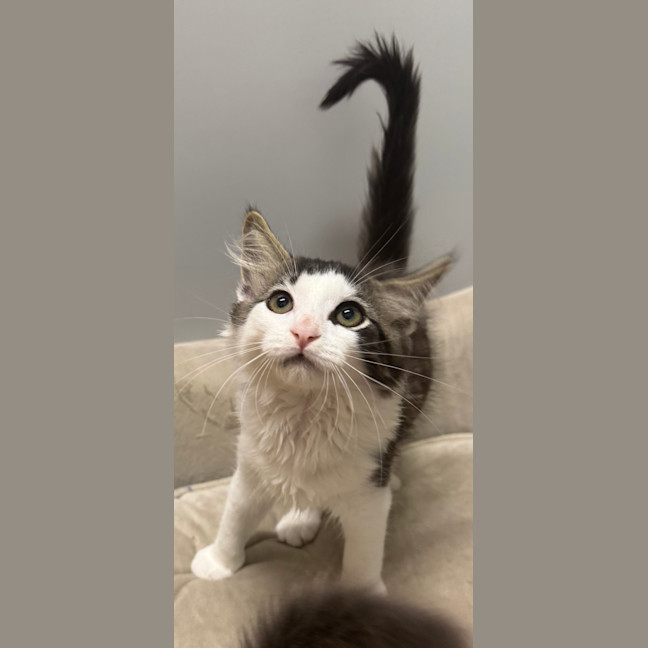Photo of Pablo