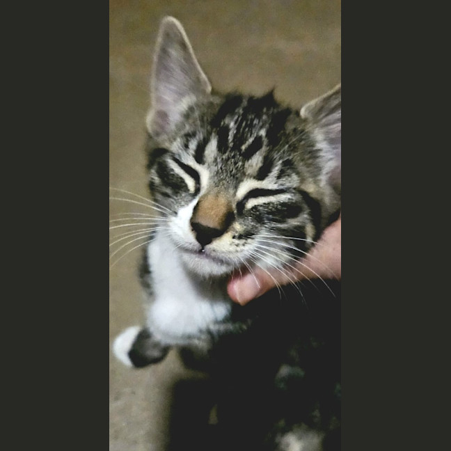 Photo of Olaf
