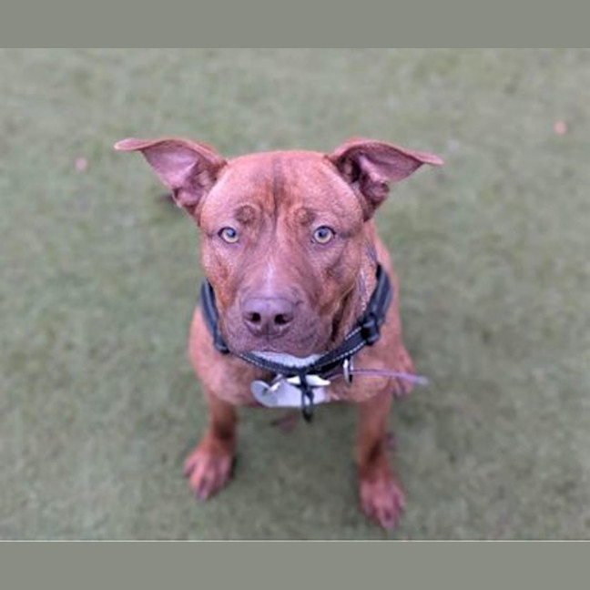 Photo of Roxy