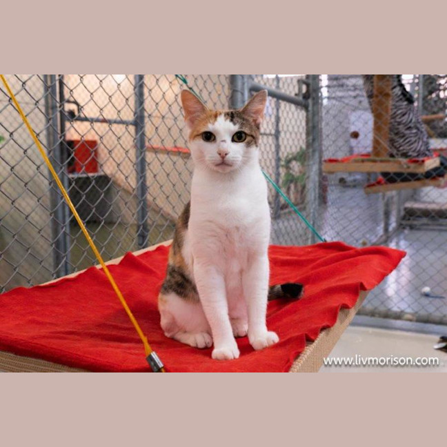 Photo of Hazel Moriarty