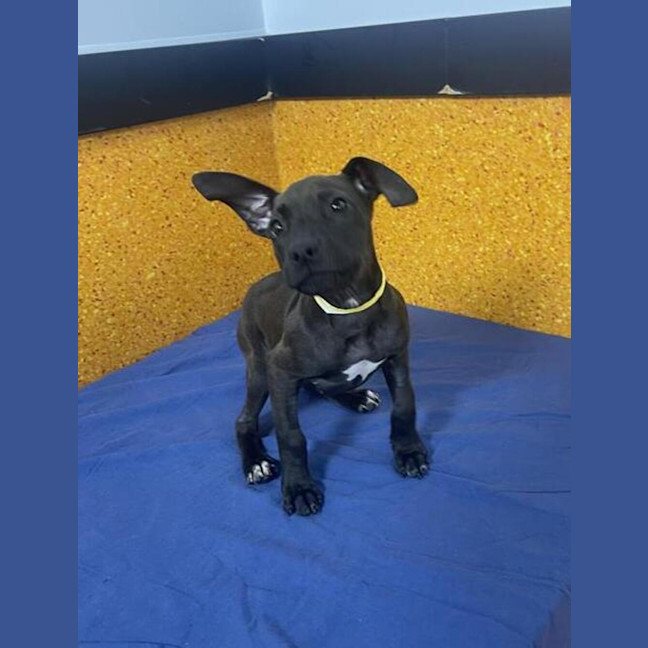 Photo of Gwen