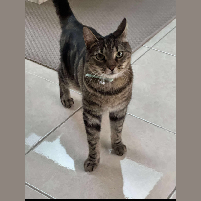 Photo of Hugo 
