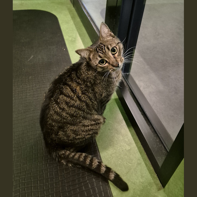 Photo of Simon