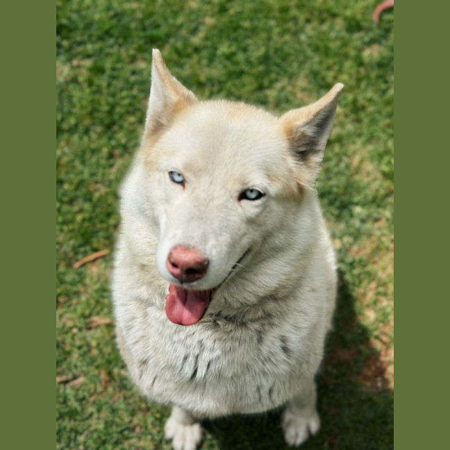 Photo of Narla