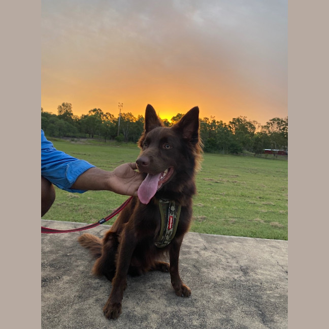 Photo of Kobi