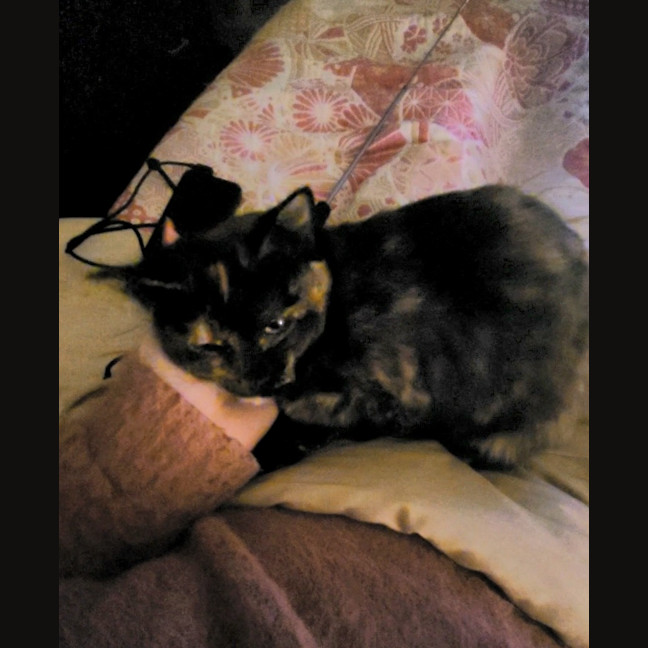 Photo of Mj Moo