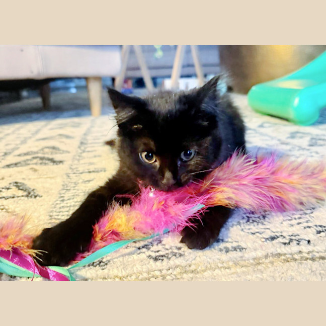 Photo of 💨Alcatraz💨